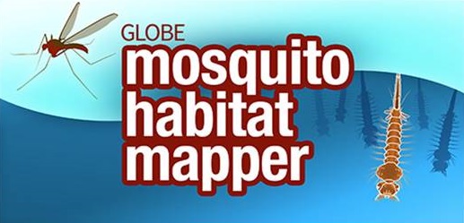 Ir a Mosquitos